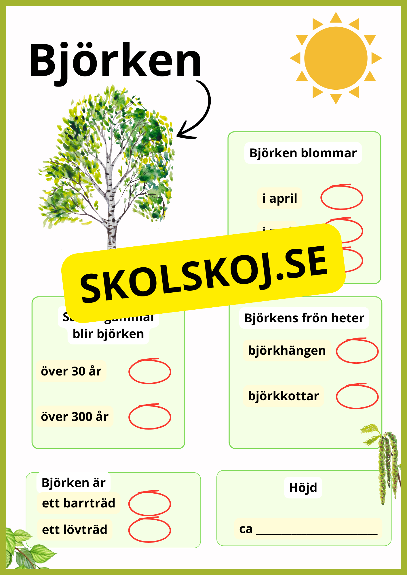 Kortfakta om träd