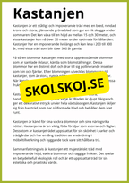Kortfakta om träd