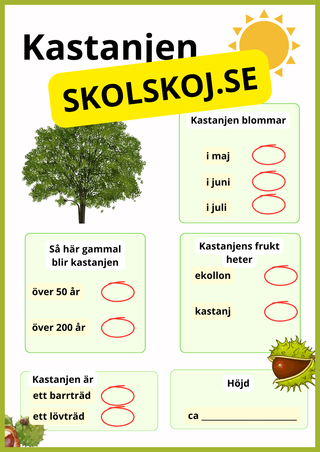Kortfakta om träd