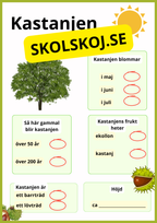 Kortfakta om träd