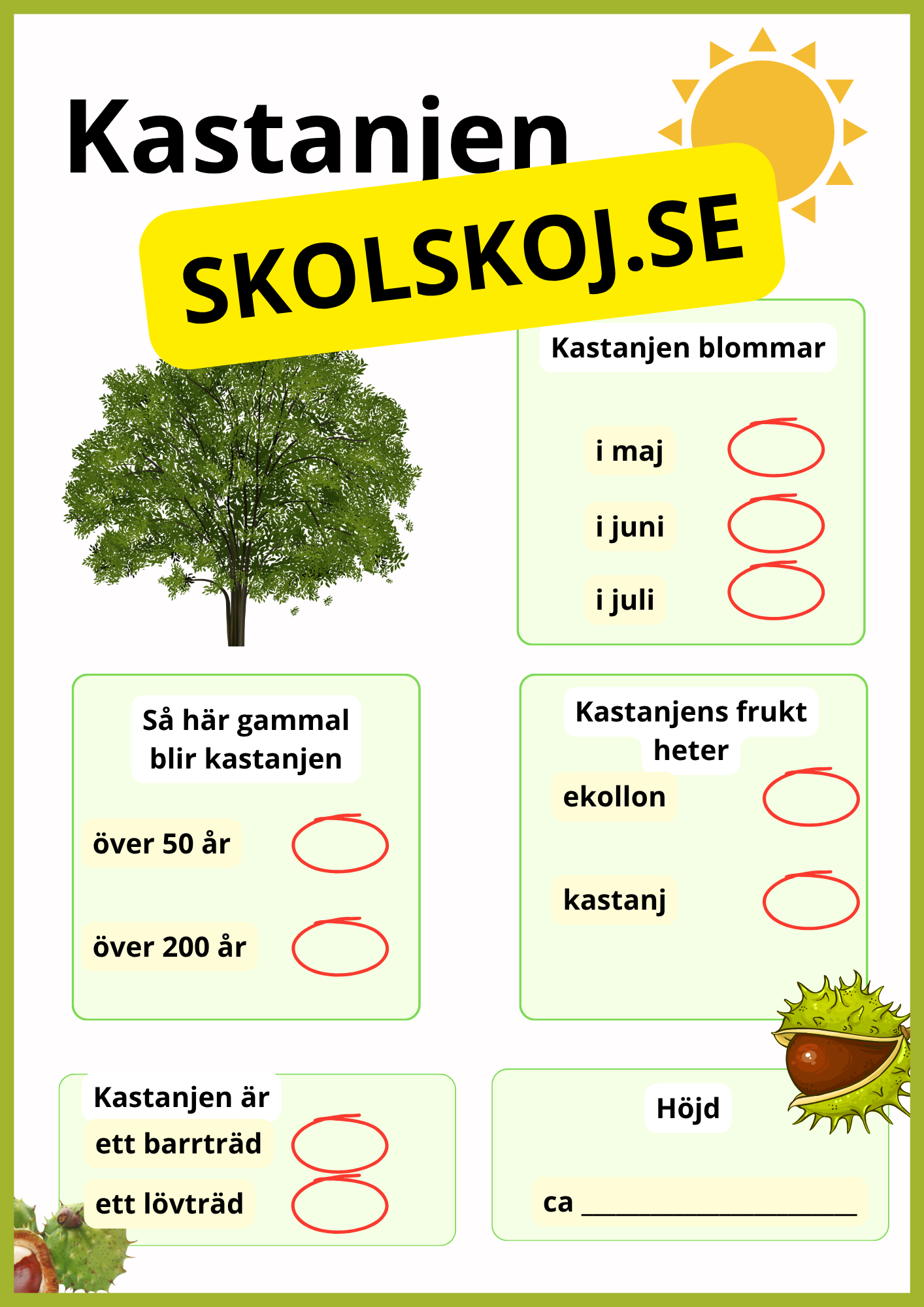 Kortfakta om träd
