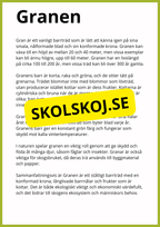 Kortfakta om träd