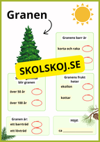 Kortfakta om träd