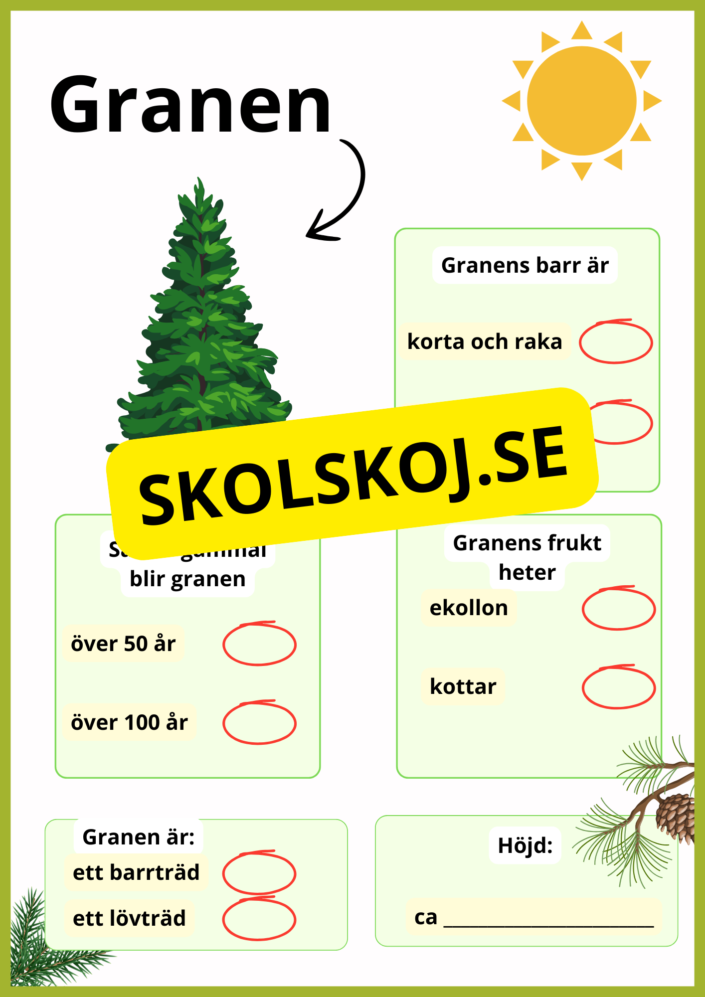 Kortfakta om träd