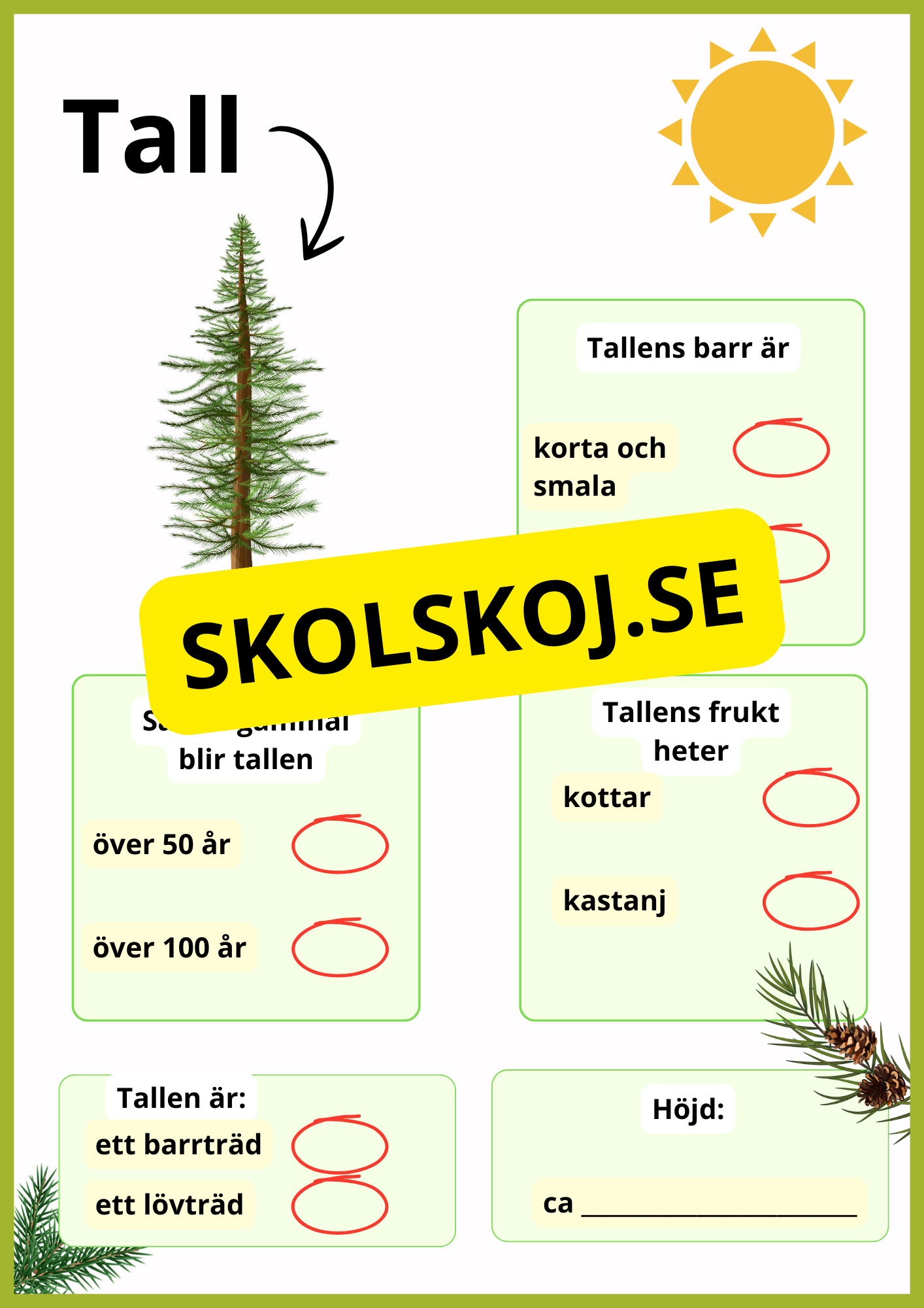 Kortfakta om träd