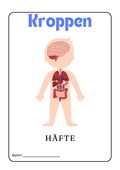 Kroppen - Häfte