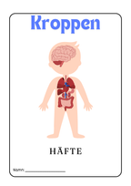 Kroppen - Häfte