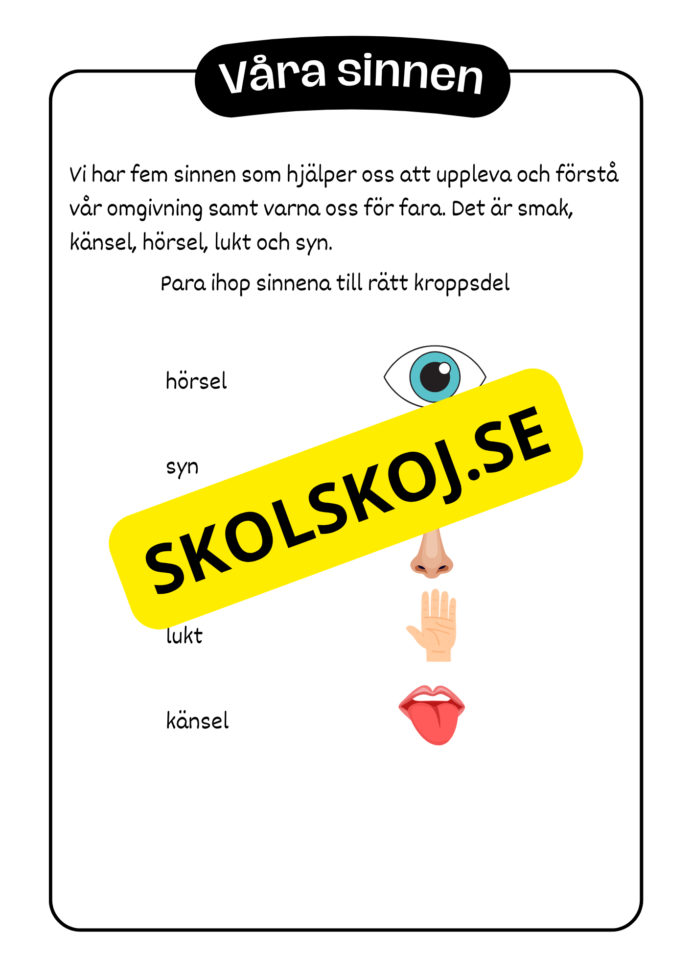 Kroppen - Häfte