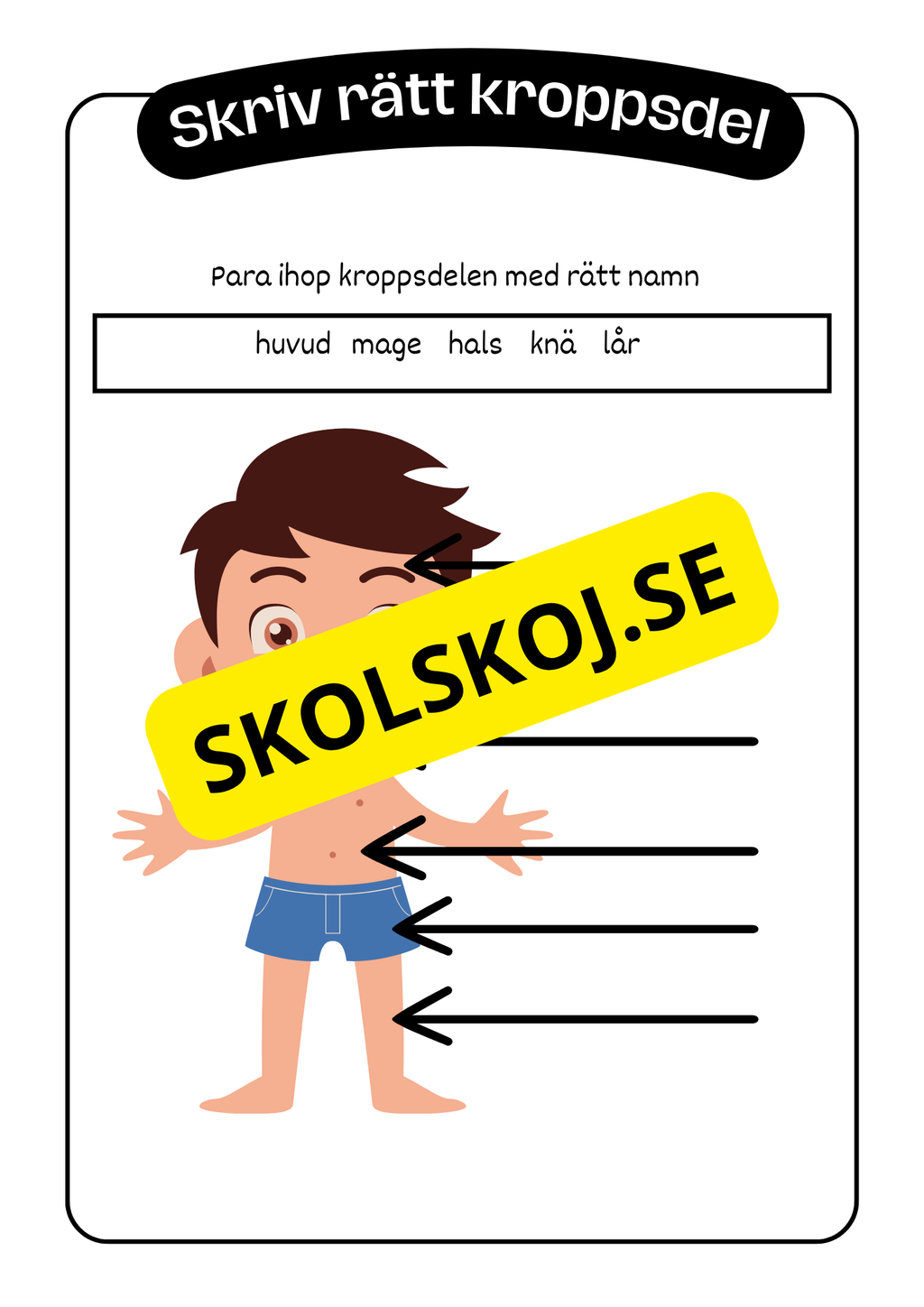 Kroppen - Häfte