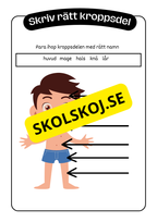 Kroppen - Häfte