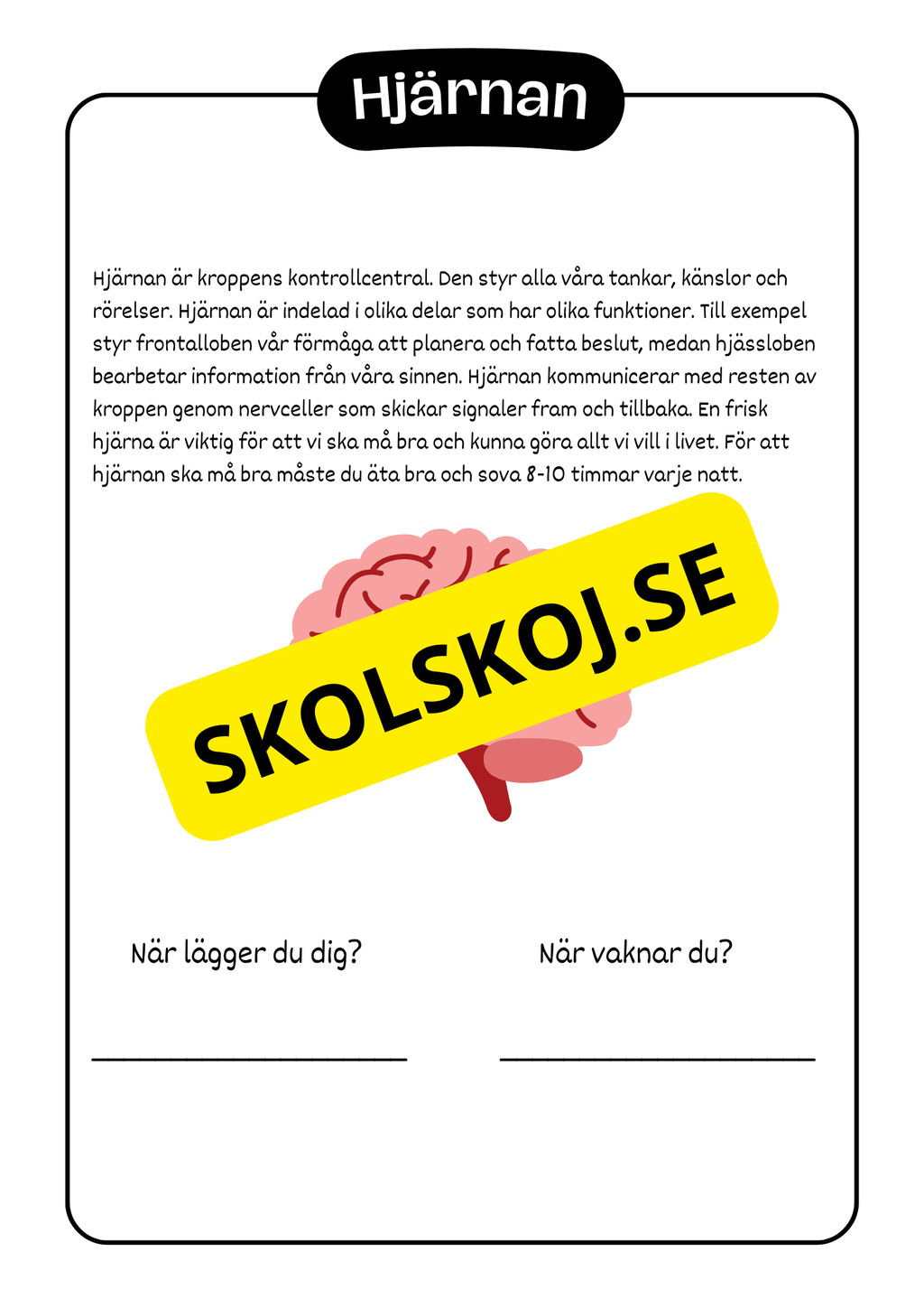 Kroppen - Häfte