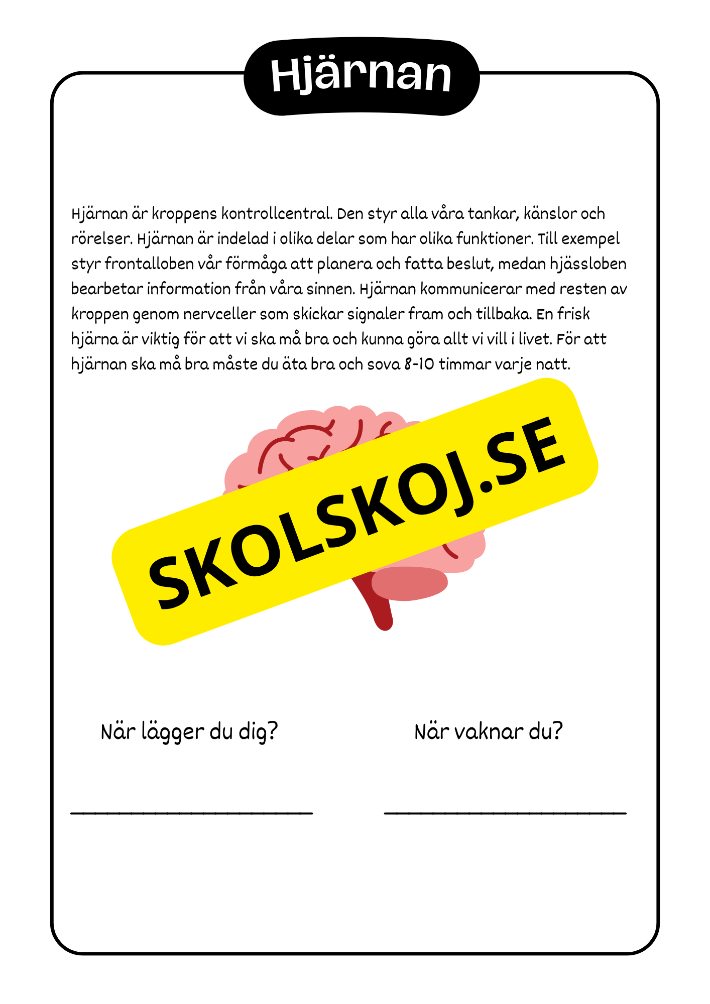 Kroppen - Häfte