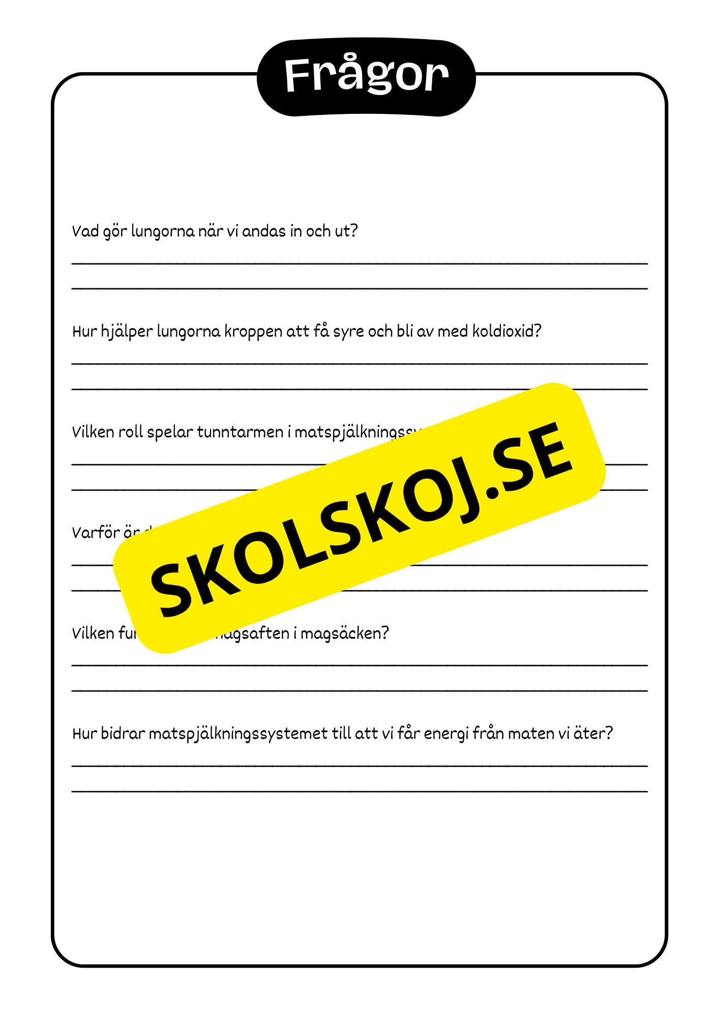 Kroppen - Häfte