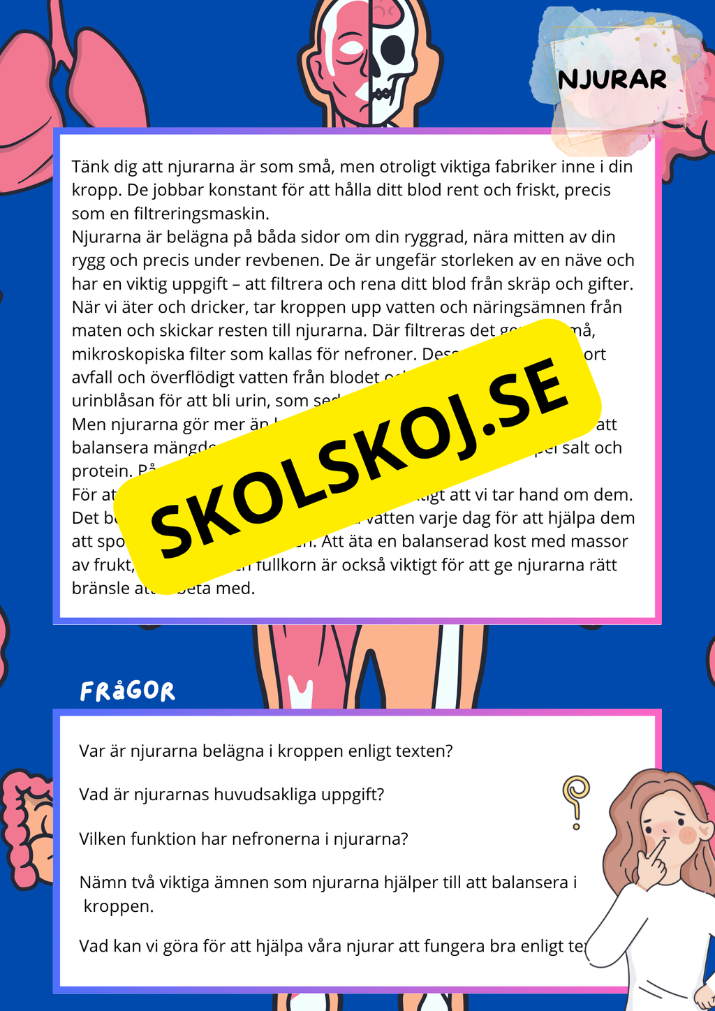 Kroppens inre organ