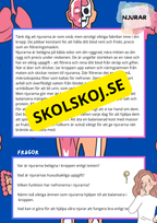 Kroppens inre organ