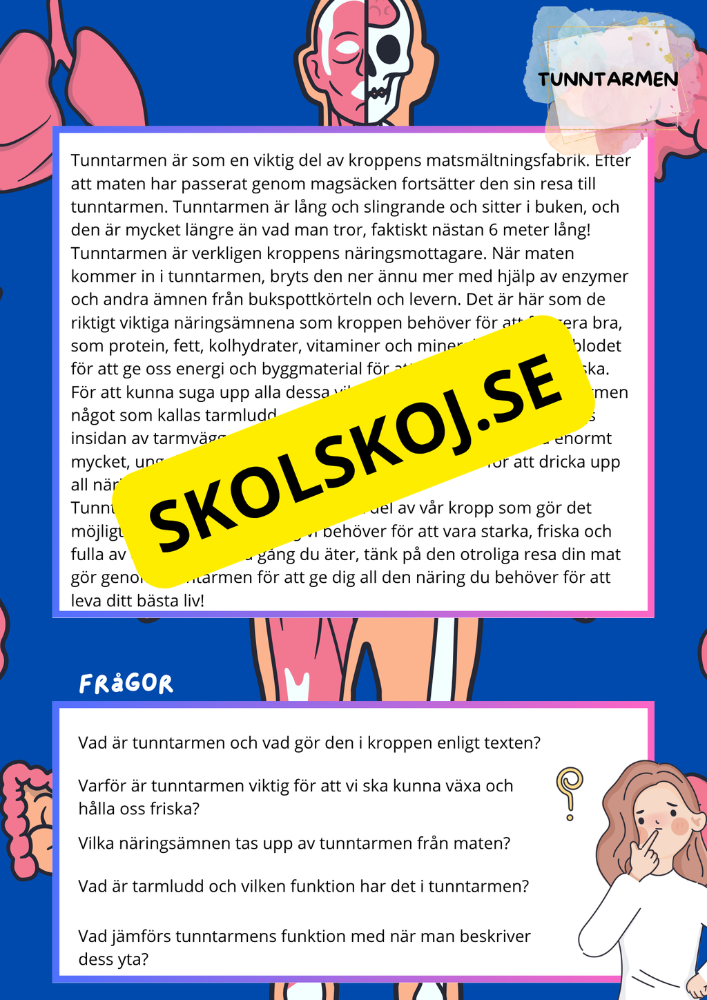 Kroppens inre organ