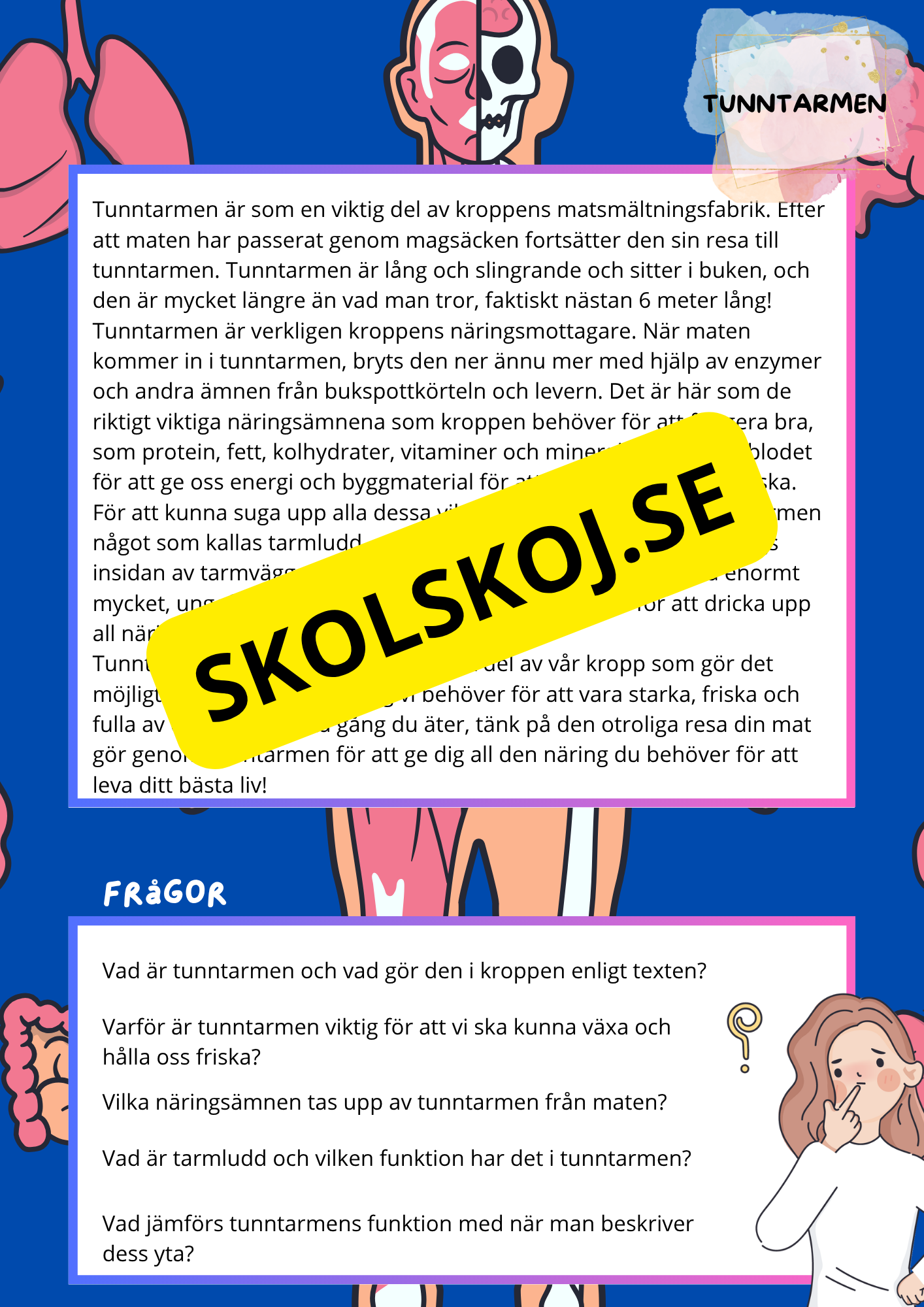 Kroppens inre organ