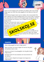 Kroppens inre organ