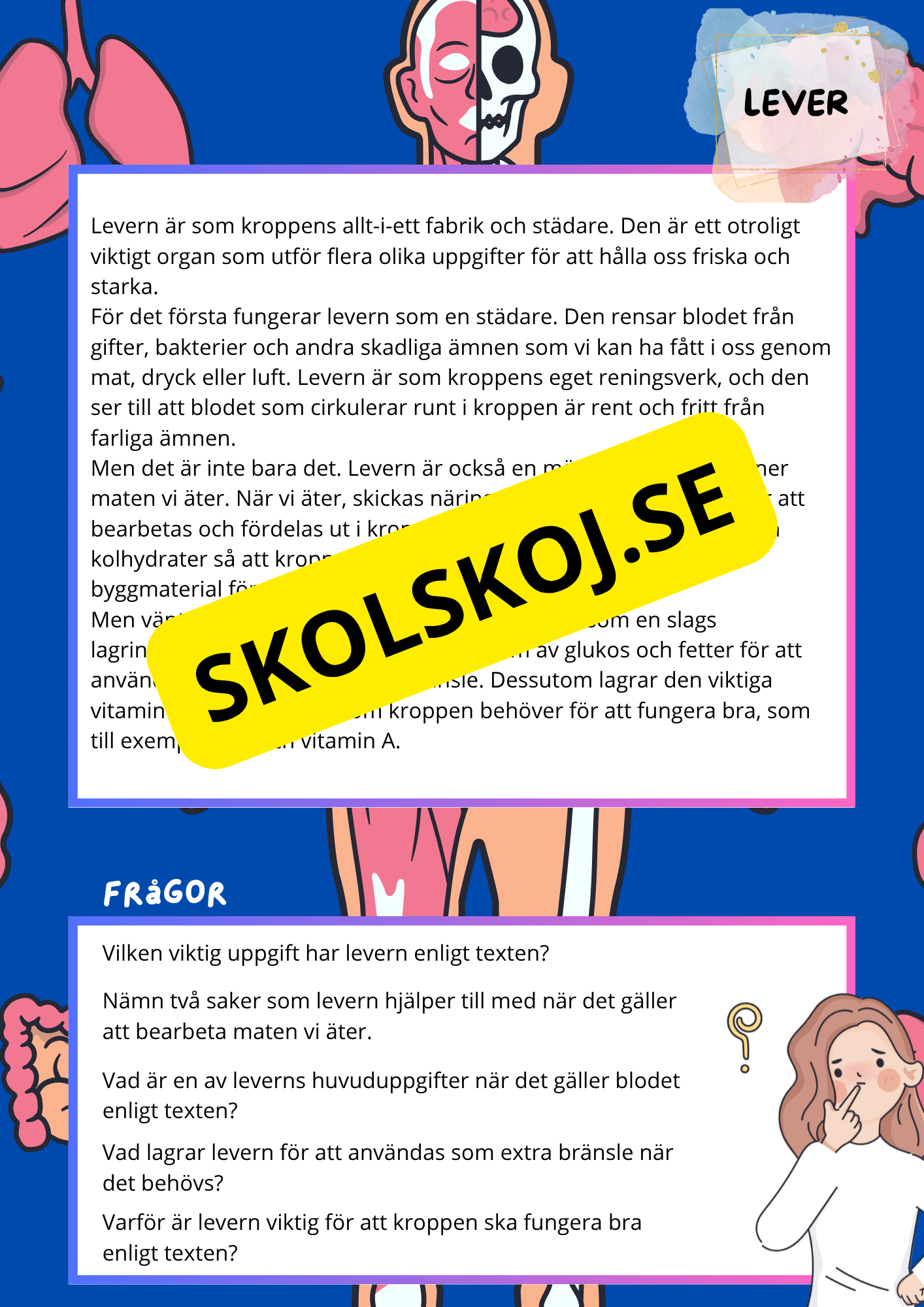 Kroppens inre organ