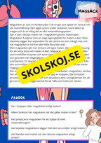 Kroppens inre organ