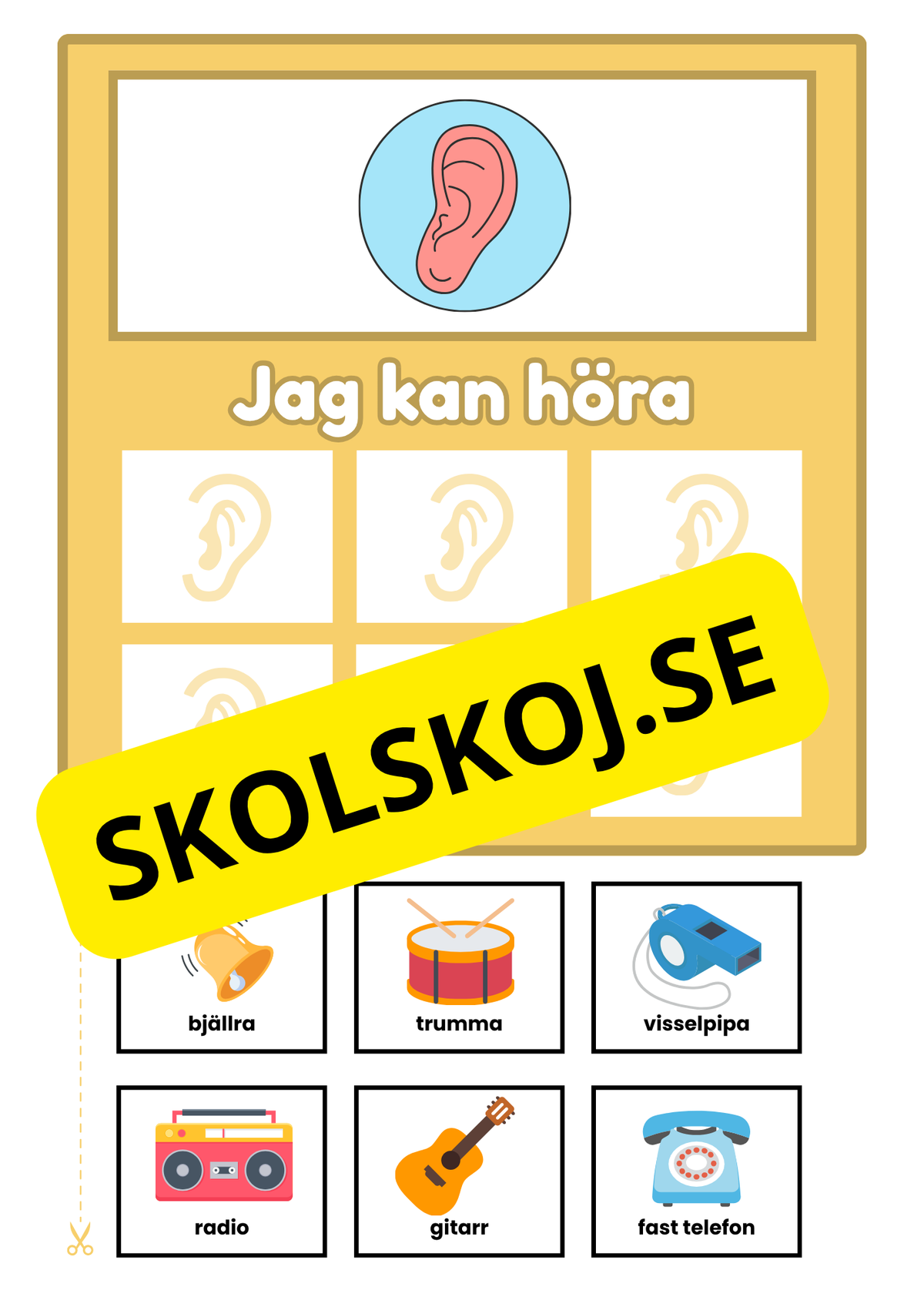 Kroppens sinnen - Sortera i kategorier