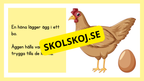 Kycklingens livscykel