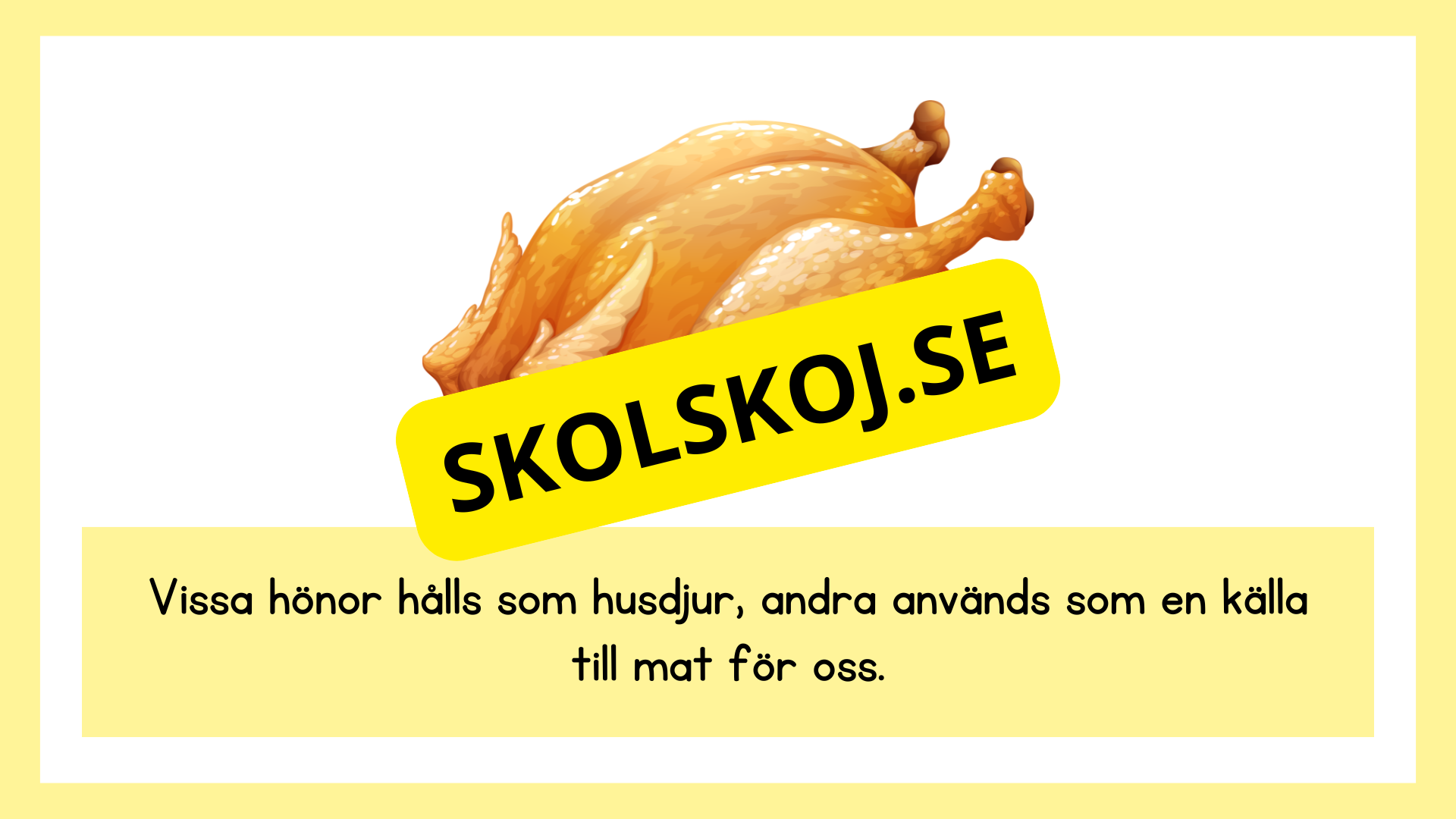 Kycklingens livscykel