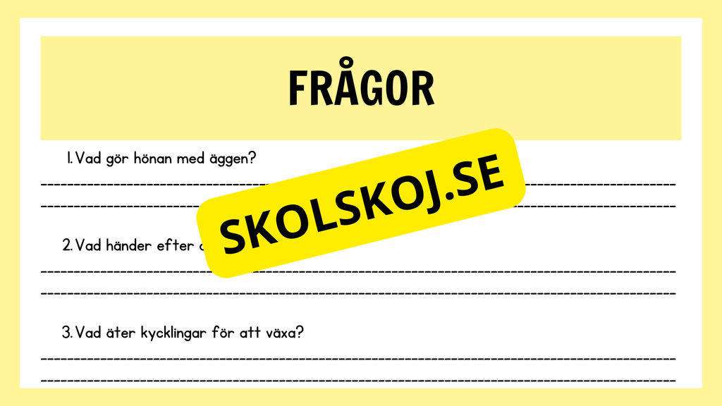 Kycklingens livscykel