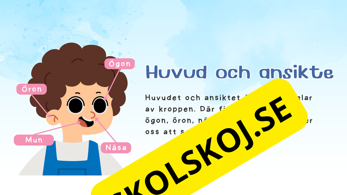 Lär dig om kroppsdelar - Presentation och frågor