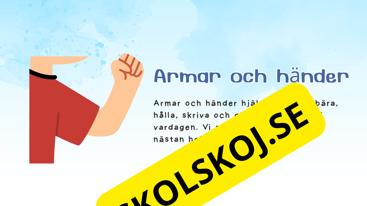 Lär dig om kroppsdelar - Presentation och frågor