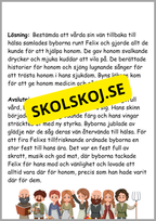 Läsförståelse - 8 sagor (24 sidor)
