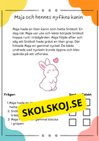 Läsförståelse sant eller falskt: 10 korta berättelser