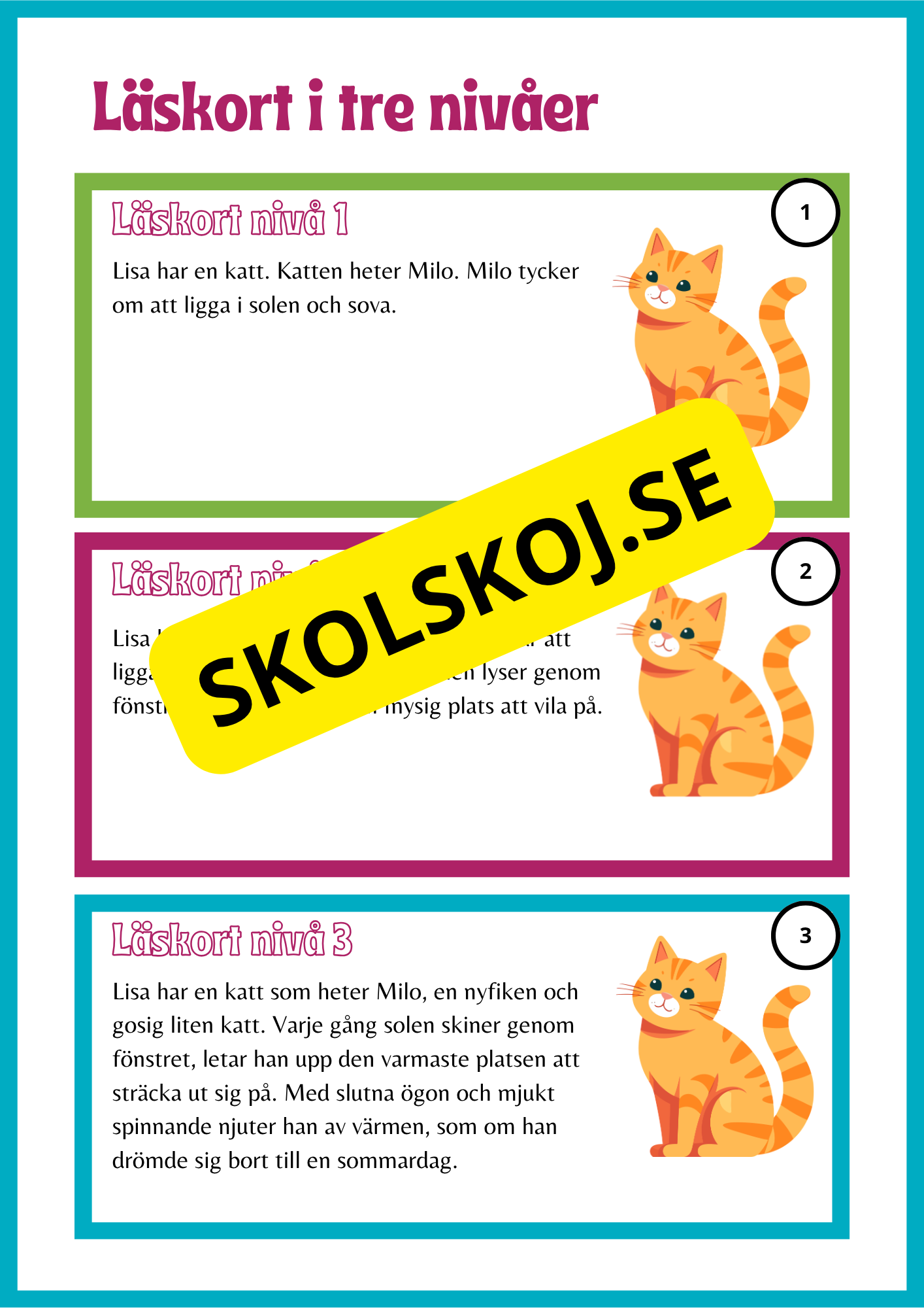 Läskort i tre nivåer- 60 st