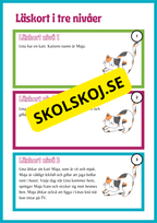 Läskort i tre nivåer- 60 st