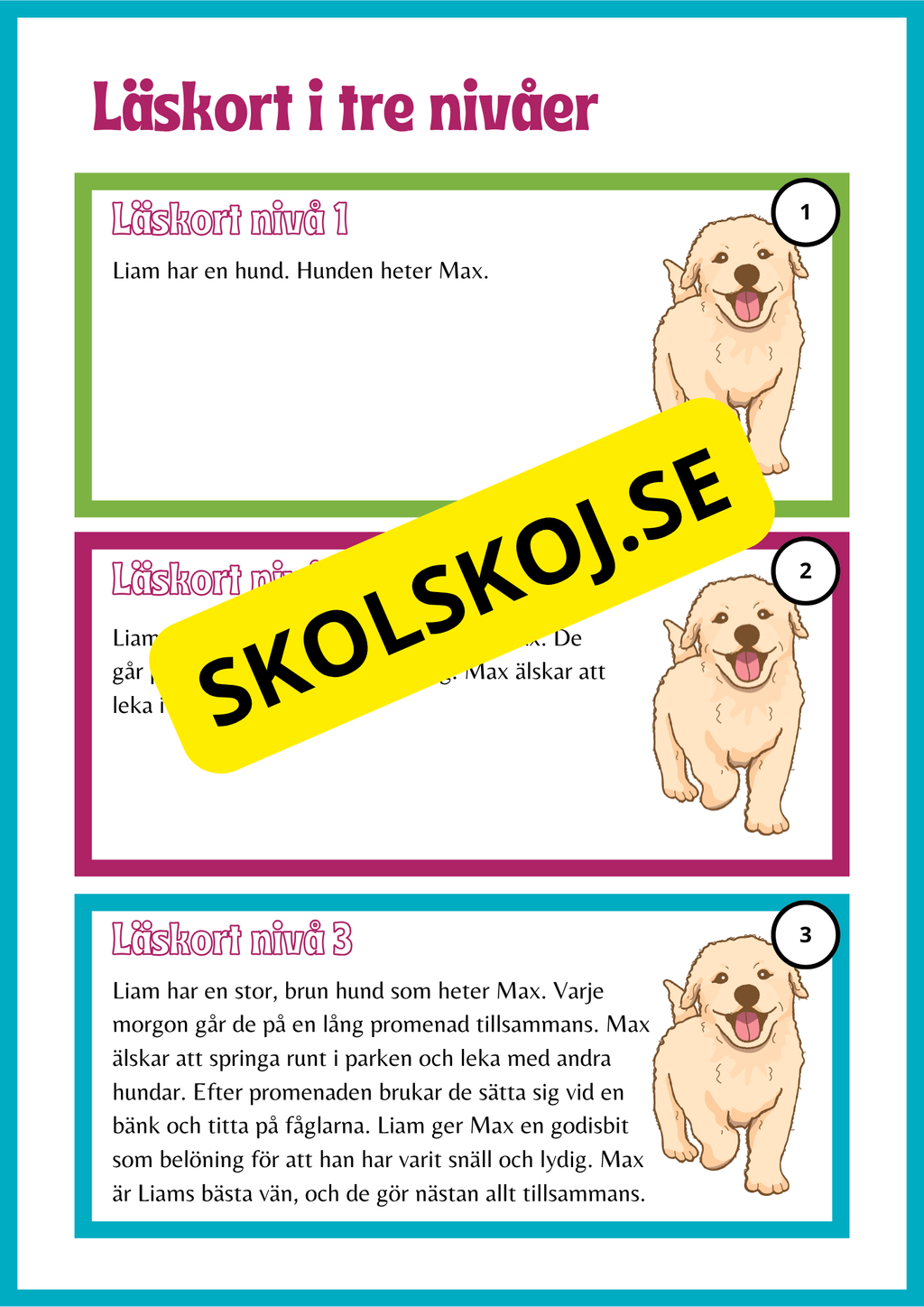 Läskort i tre nivåer- 60 st