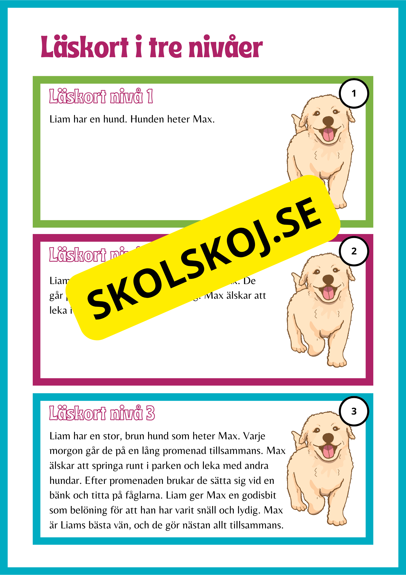 Läskort i tre nivåer- 60 st
