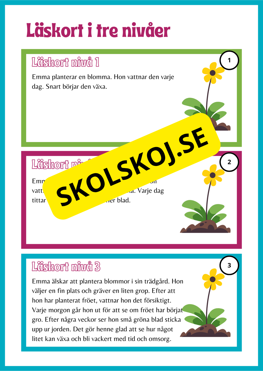Läskort i tre nivåer- 60 st