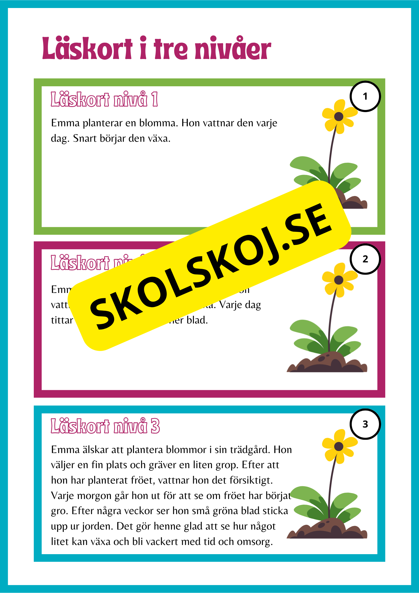 Läskort i tre nivåer- 60 st