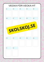 Lektionsplanering för klasslärare - Redigerbar (29 sidor)
