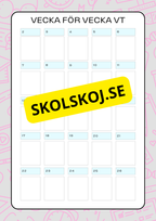 Lektionsplanering för klasslärare - Redigerbar (29 sidor)