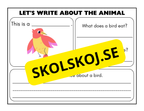 Lets write about the animal - Engelska