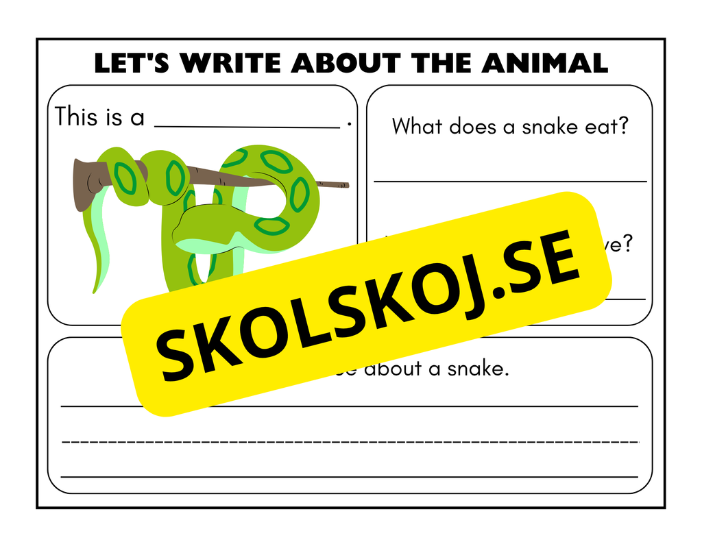 Lets write about the animal - Engelska