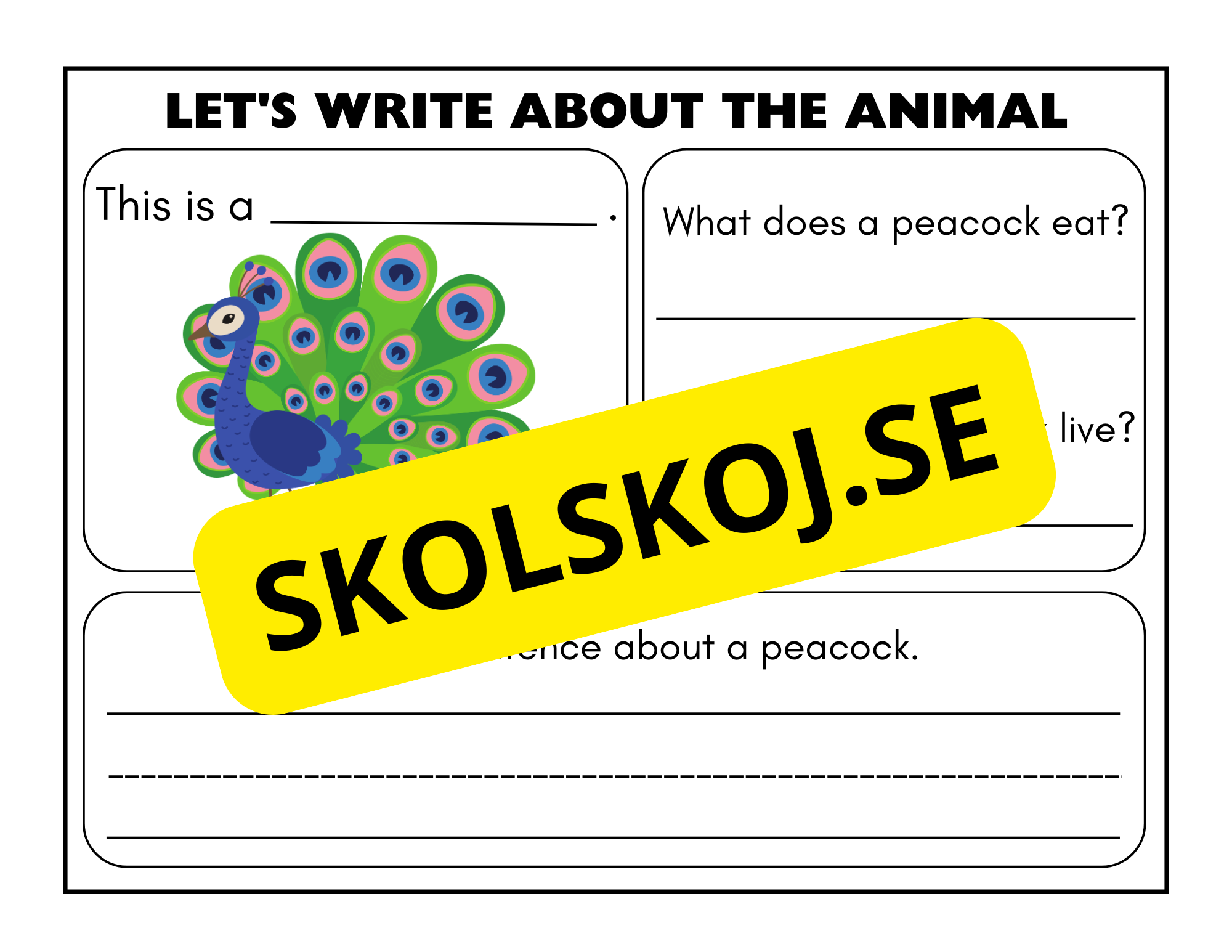 Lets write about the animal - Engelska