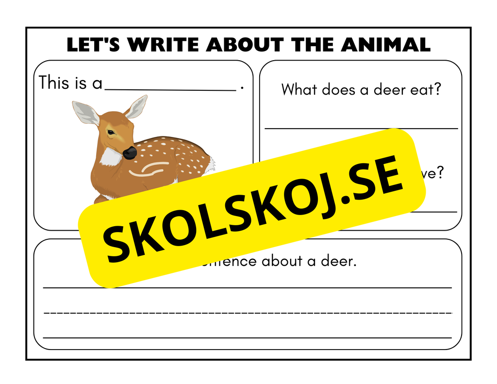 Lets write about the animal - Engelska