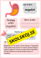 Lite om min kropp - Paket - Läsförståelse