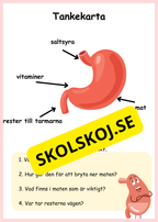 Lite om min kropp - Paket - Läsförståelse