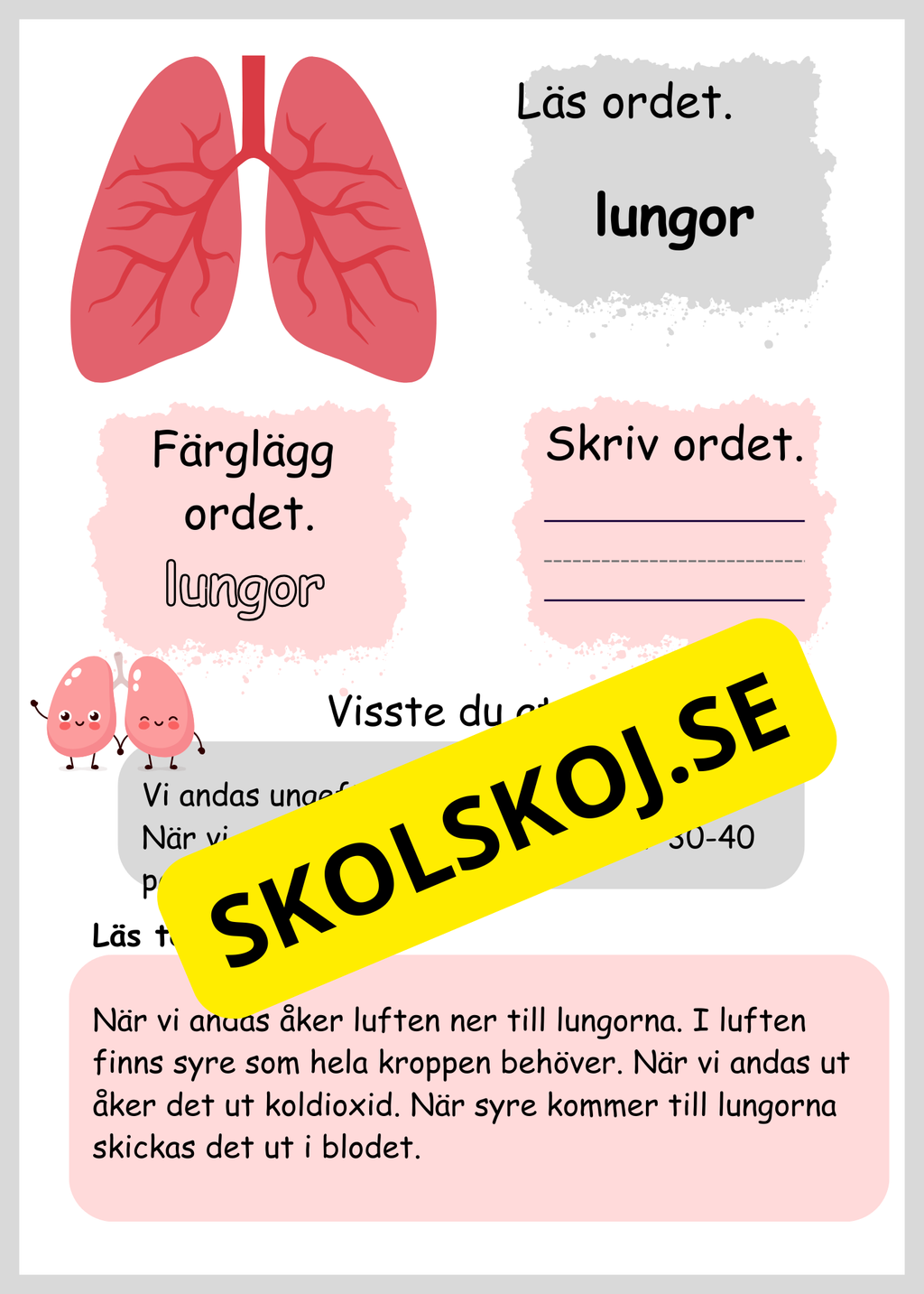 Lite om min kropp - Paket - Läsförståelse