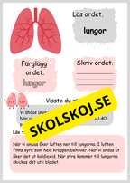 Lite om min kropp - Paket - Läsförståelse