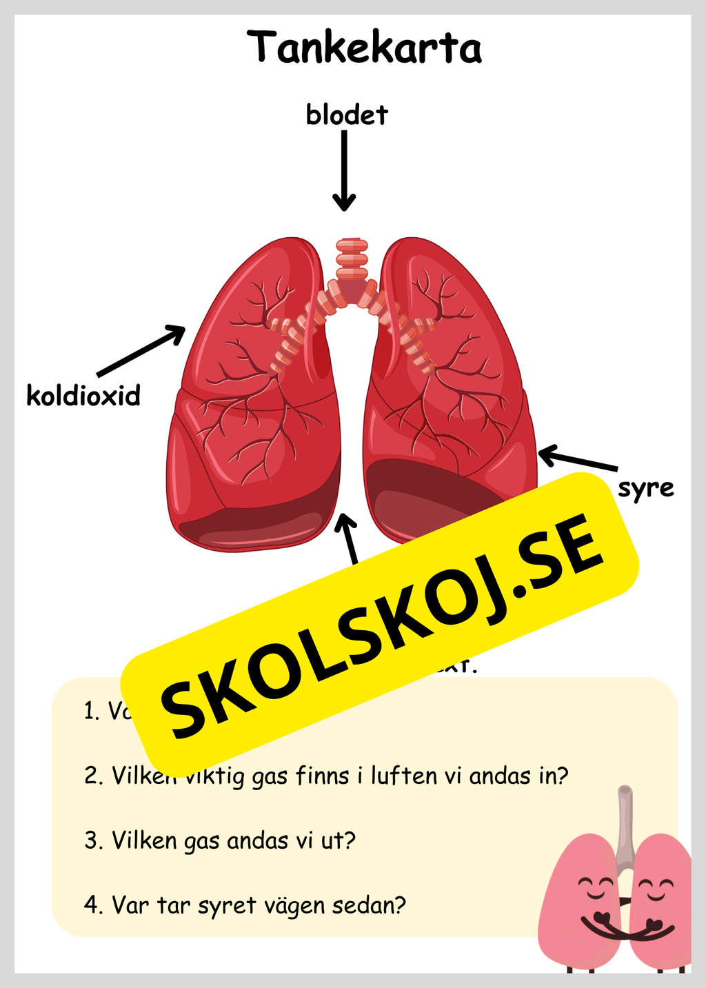 Lite om min kropp - Paket - Läsförståelse