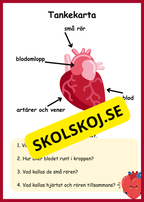 Lite om min kropp - Paket - Läsförståelse